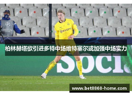 柏林赫塔欲引进多特中场维特塞尔或加强中场实力